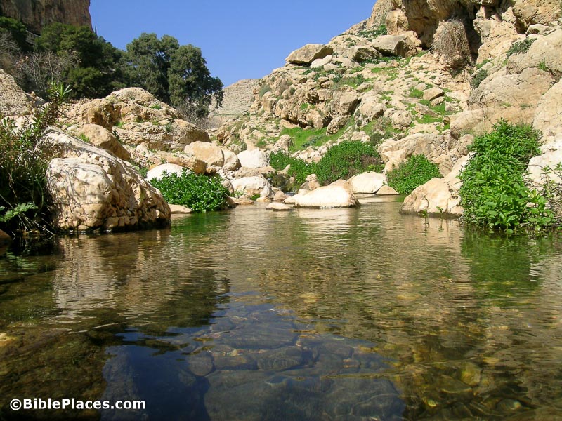 Ein Perat, tb020804282