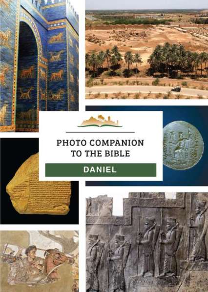 DVD Cover DANIEL 800