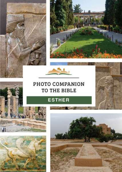 DVD Cover ESTHER-800